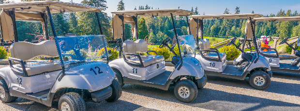 Golf carts at a club